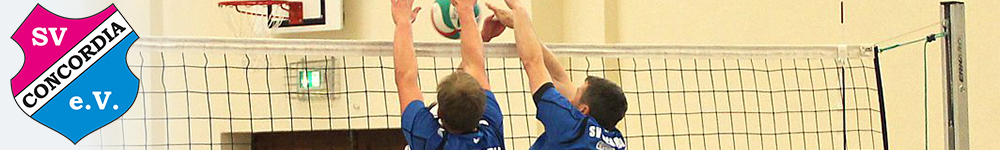 Header - Volleyball 2
